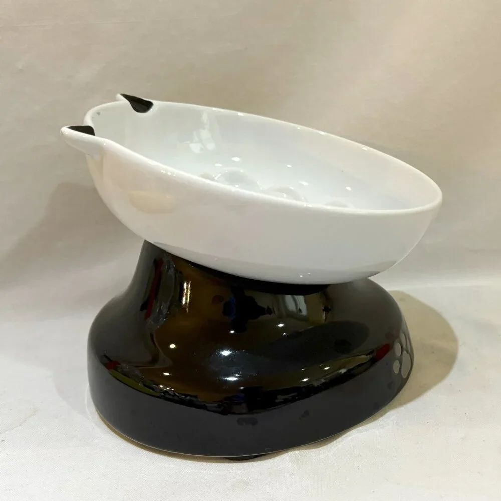 YHY Fine Porcelain Slow Feeder Elevated Tilting Cat Bowl Non-Slip Base